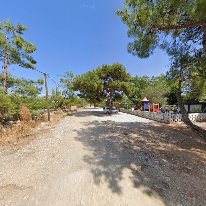 Fotoğraf 9