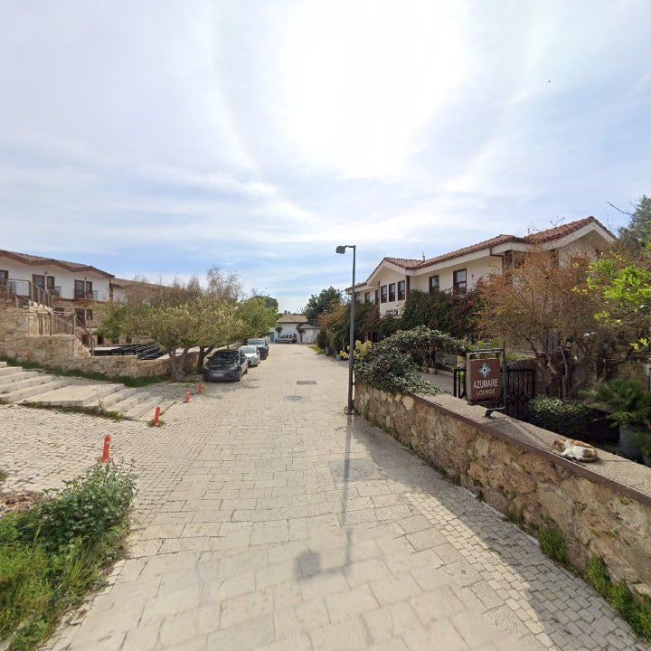 Fotoğraf 12