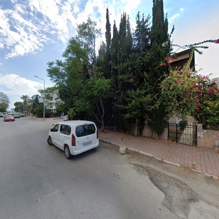 Fotoğraf 8