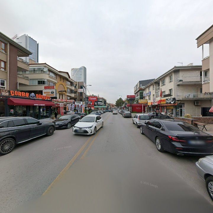Fotoğraf 11
