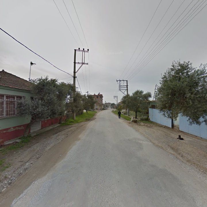 Fotoğraf 9