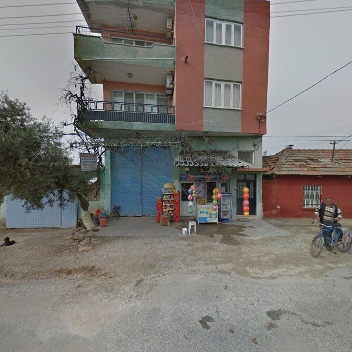 Fotoğraf 6
