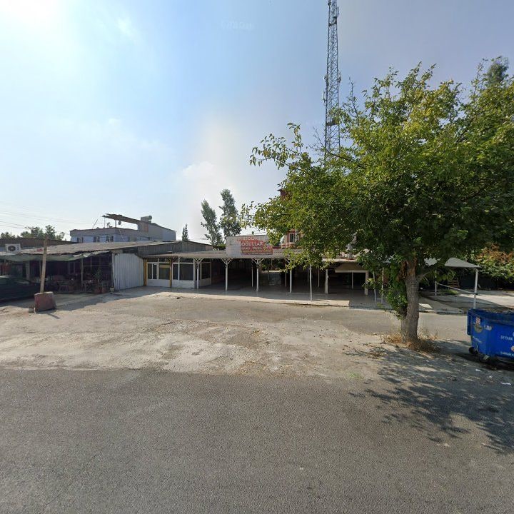 Fotoğraf 6