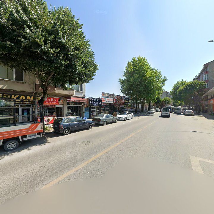 Fotoğraf 8