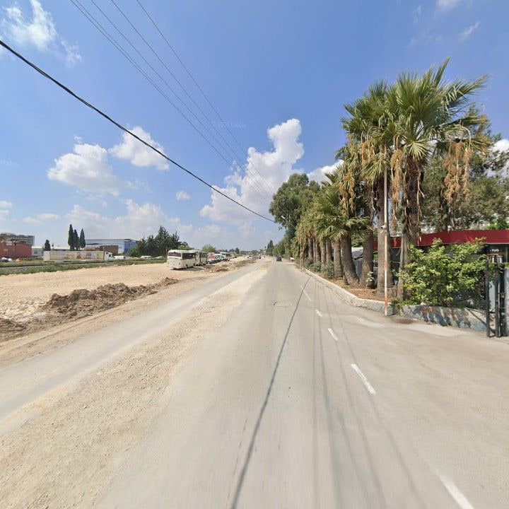 Fotoğraf 16