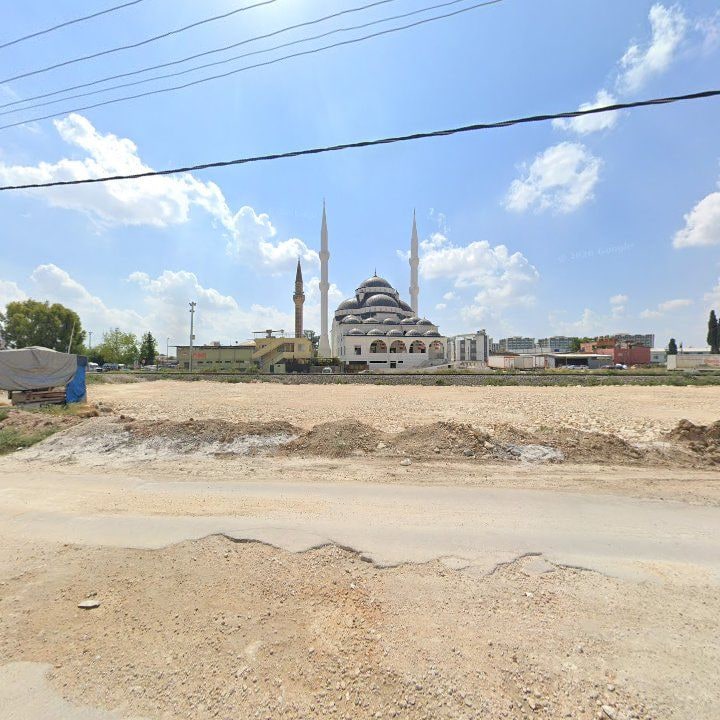 Fotoğraf 15