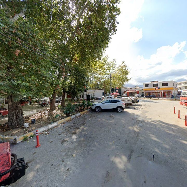 Fotoğraf 8