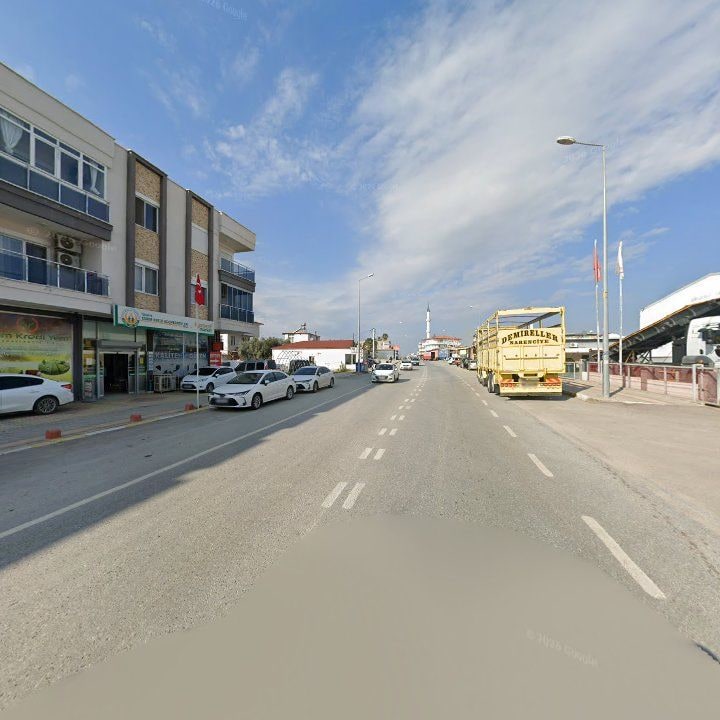 Fotoğraf 8