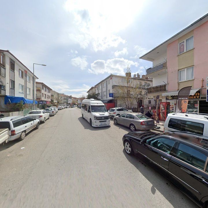 Fotoğraf 9