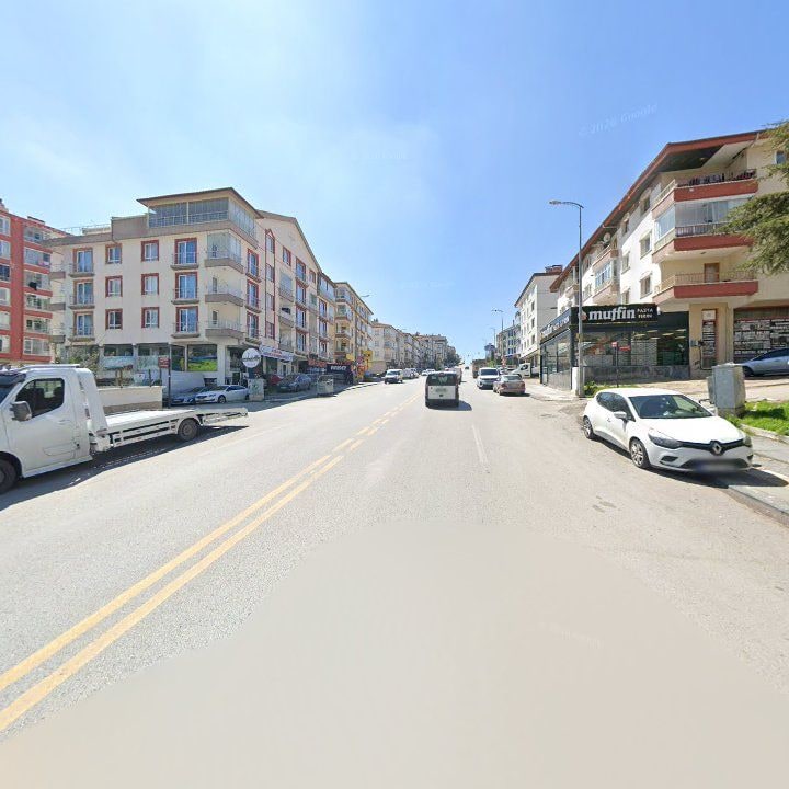 Fotoğraf 8