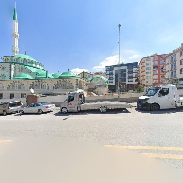 Fotoğraf 7