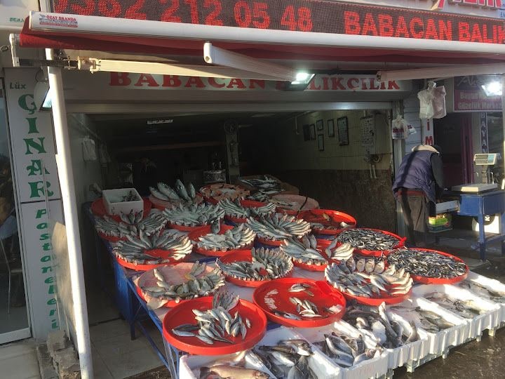 BabacanBalıkcilik