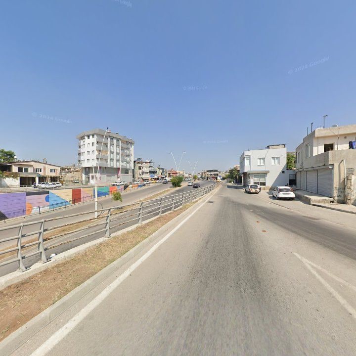 Fotoğraf 10