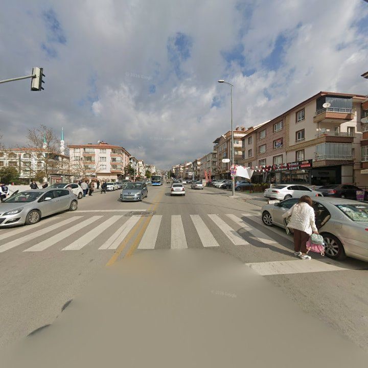 Fotoğraf 11