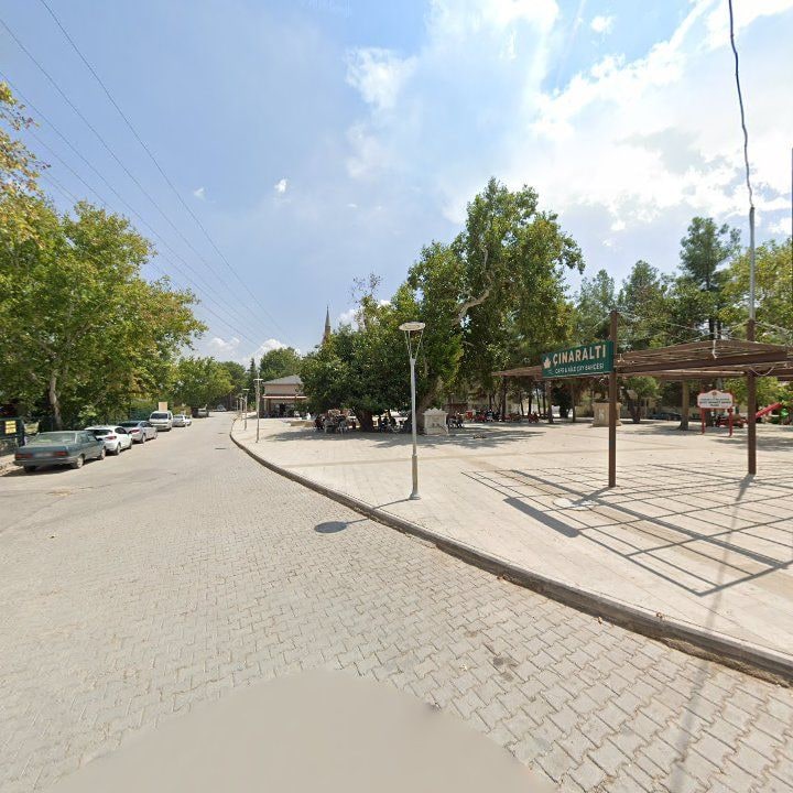 Fotoğraf 6