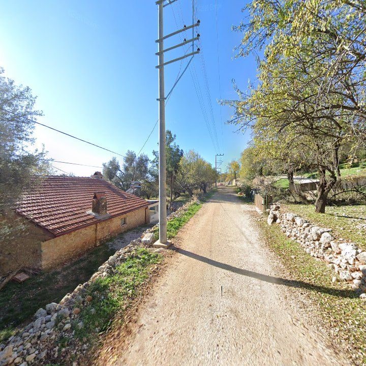 Fotoğraf 14