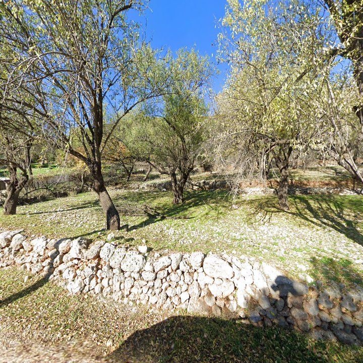 Fotoğraf 15