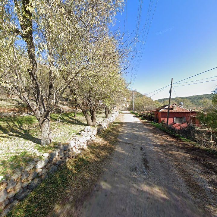 Fotoğraf 16