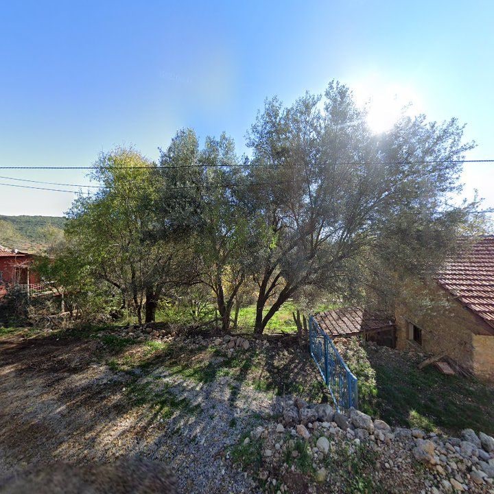 Fotoğraf 13