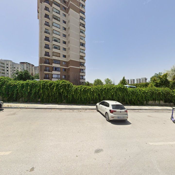 Fotoğraf 10