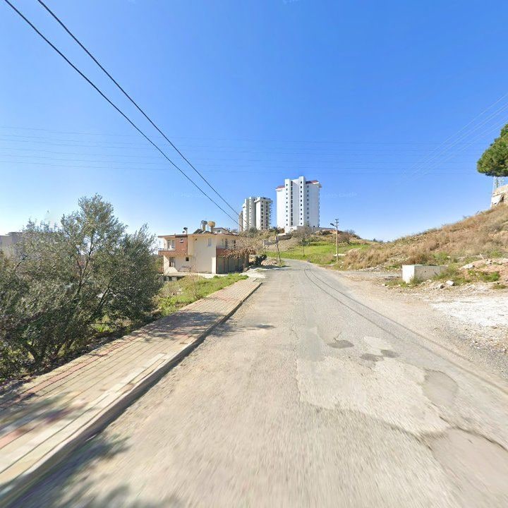 Fotoğraf 10