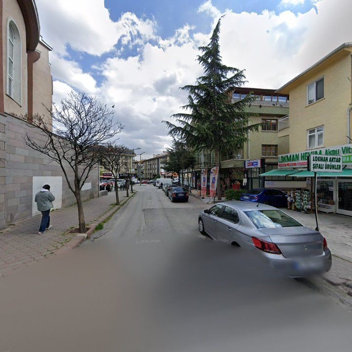 Fotoğraf 9