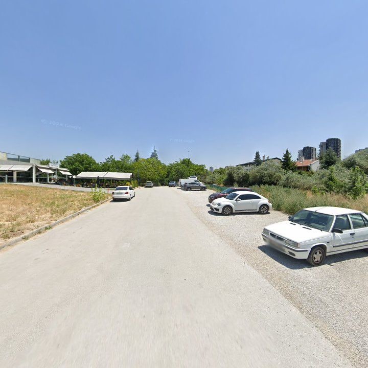 Fotoğraf 12