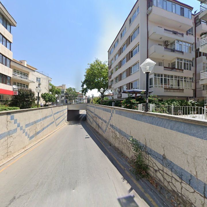 Fotoğraf 15