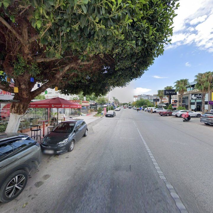 Fotoğraf 8