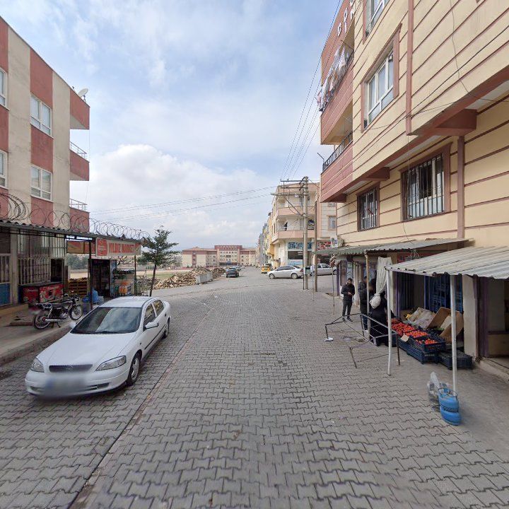 Fotoğraf 3