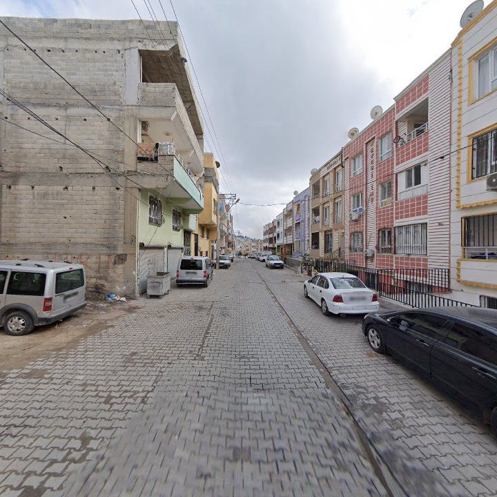 Fotoğraf 5