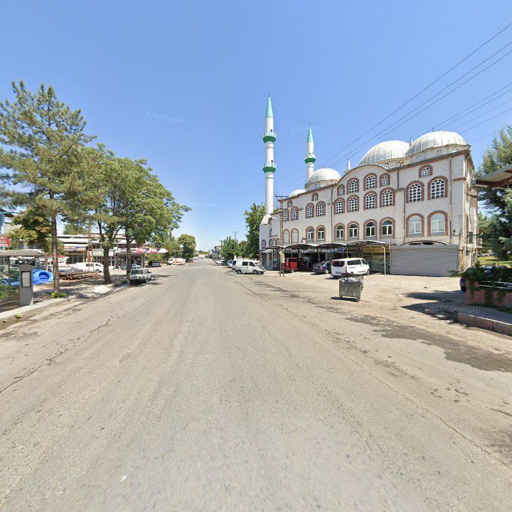 Fotoğraf 9