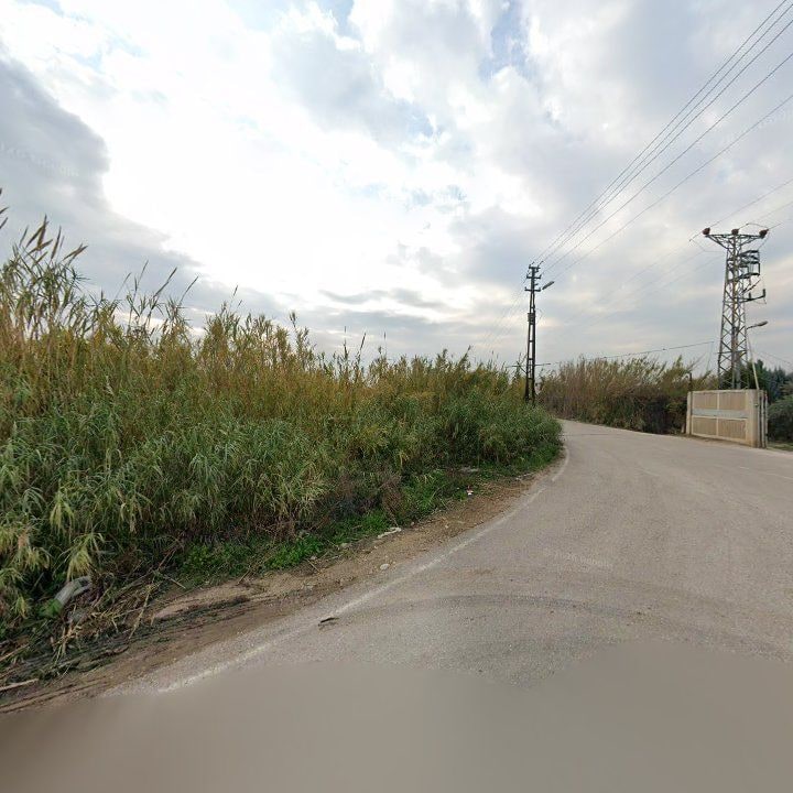 Fotoğraf 8