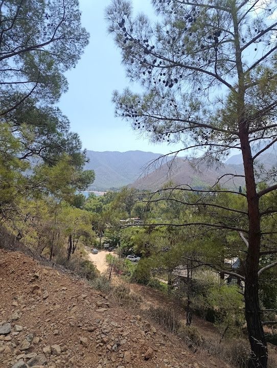 Bahçe ve camping