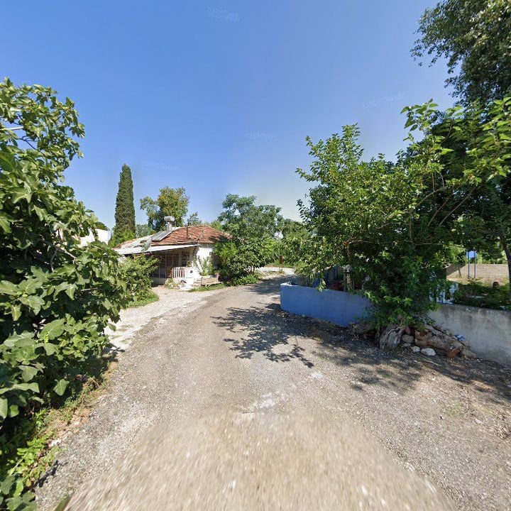Fotoğraf 9