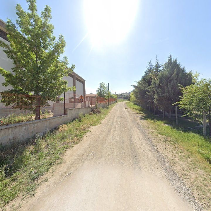 Fotoğraf 9