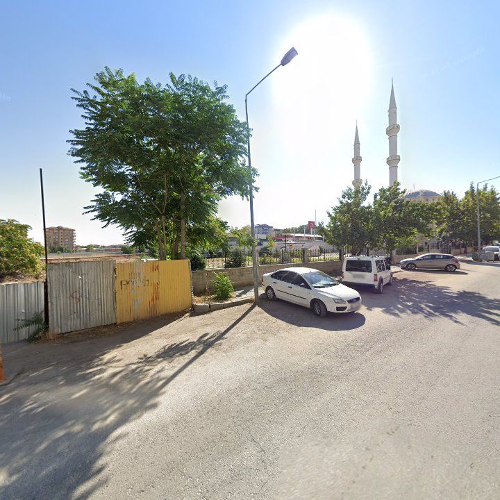 Fotoğraf 6