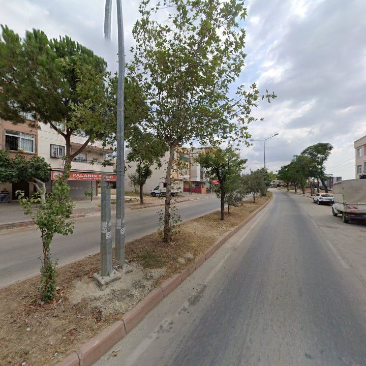 Fotoğraf 7