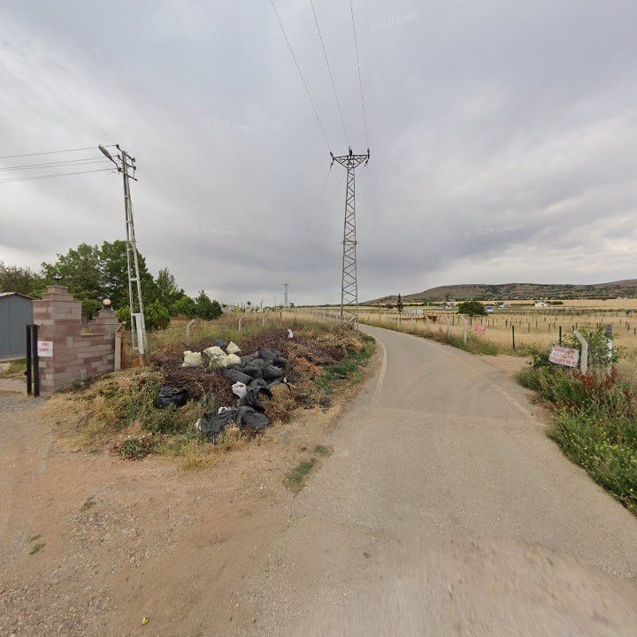 Fotoğraf 7
