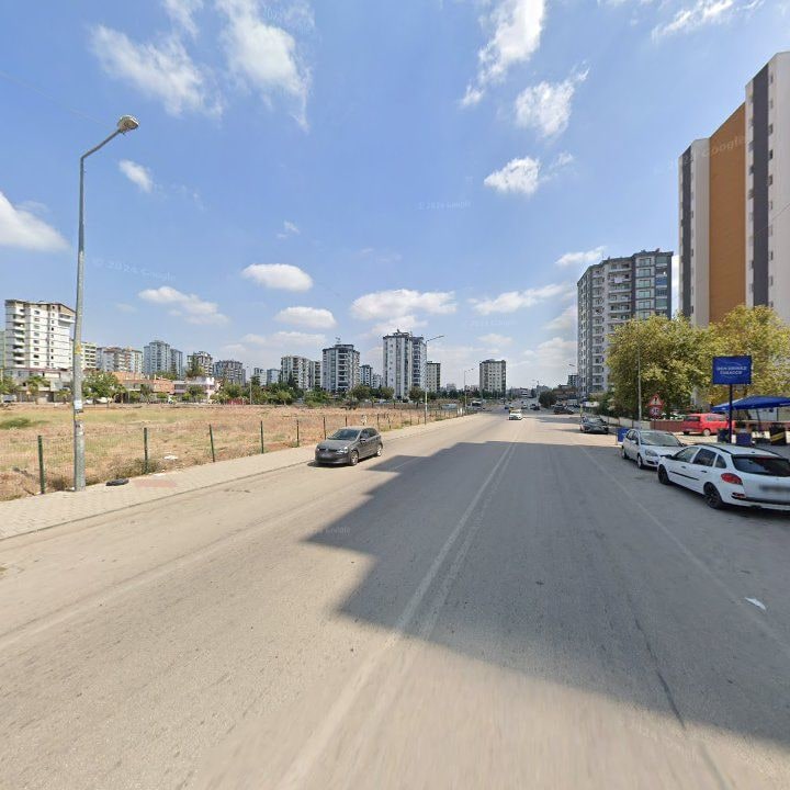 Fotoğraf 8