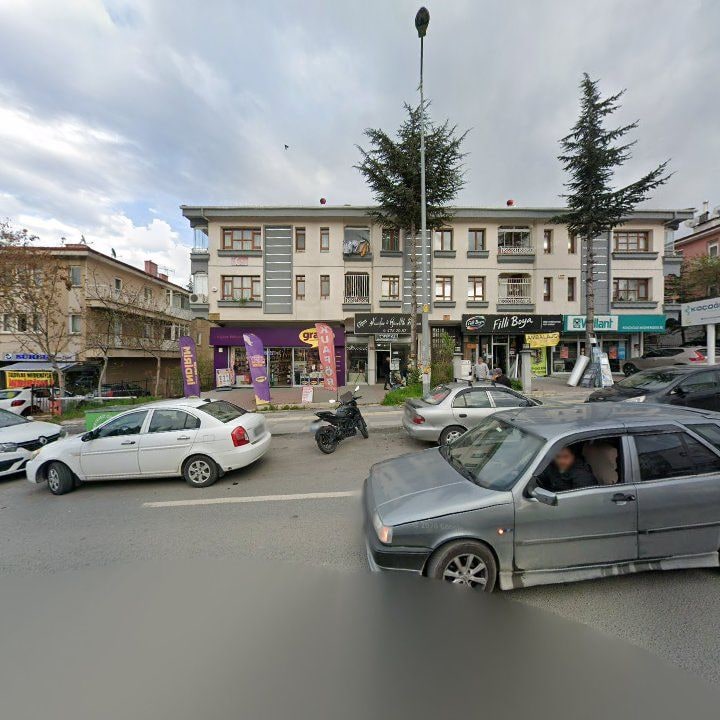 Fotoğraf 13