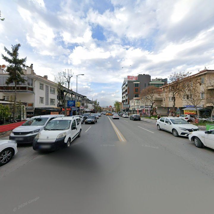 Fotoğraf 12