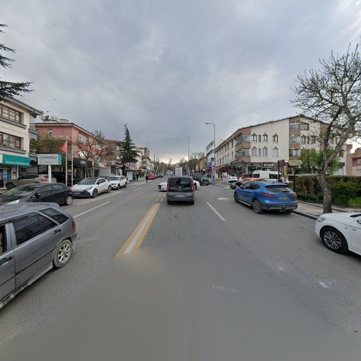 Fotoğraf 14