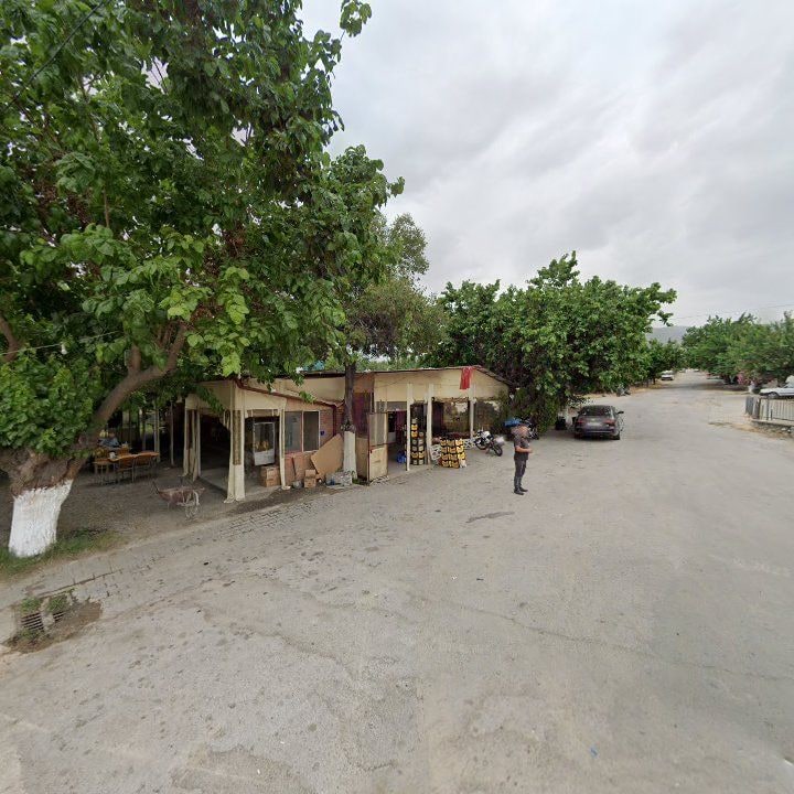 Fotoğraf 8