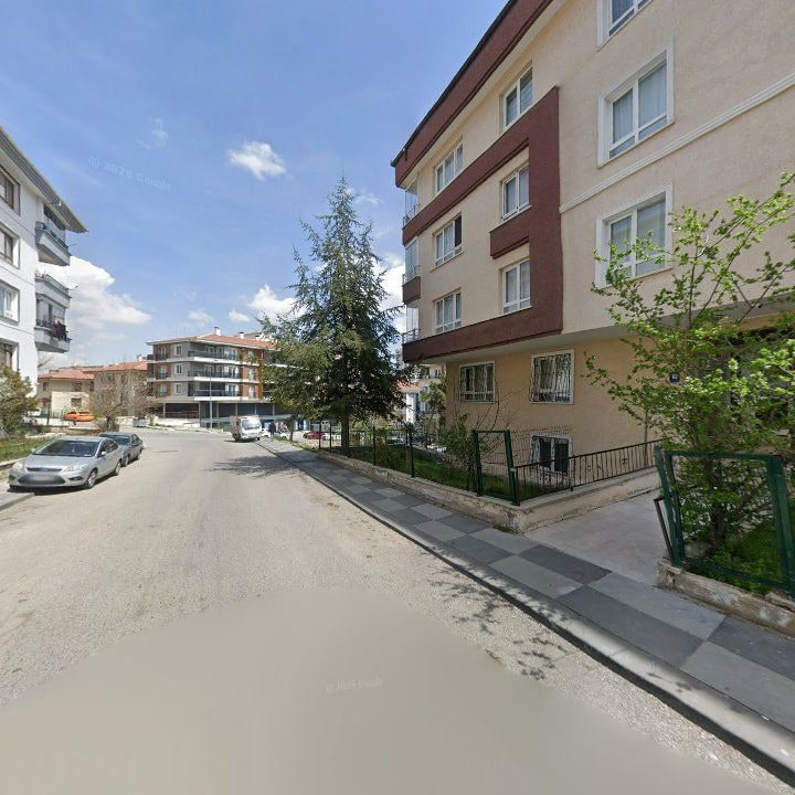 Fotoğraf 12