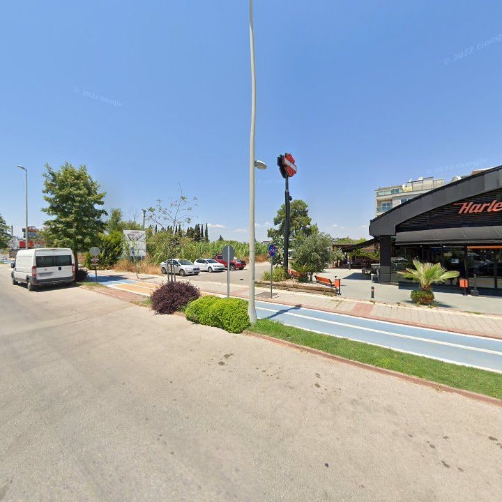Fotoğraf 10