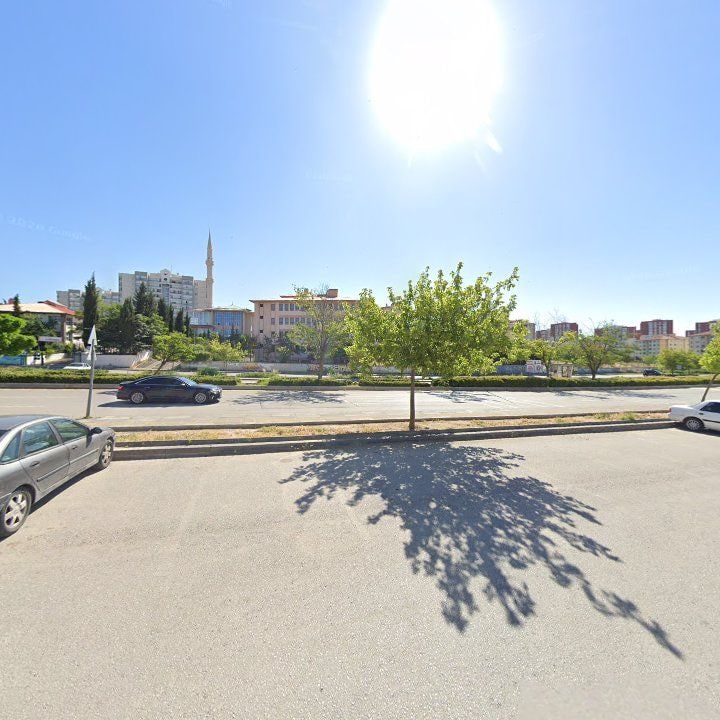 Fotoğraf 12