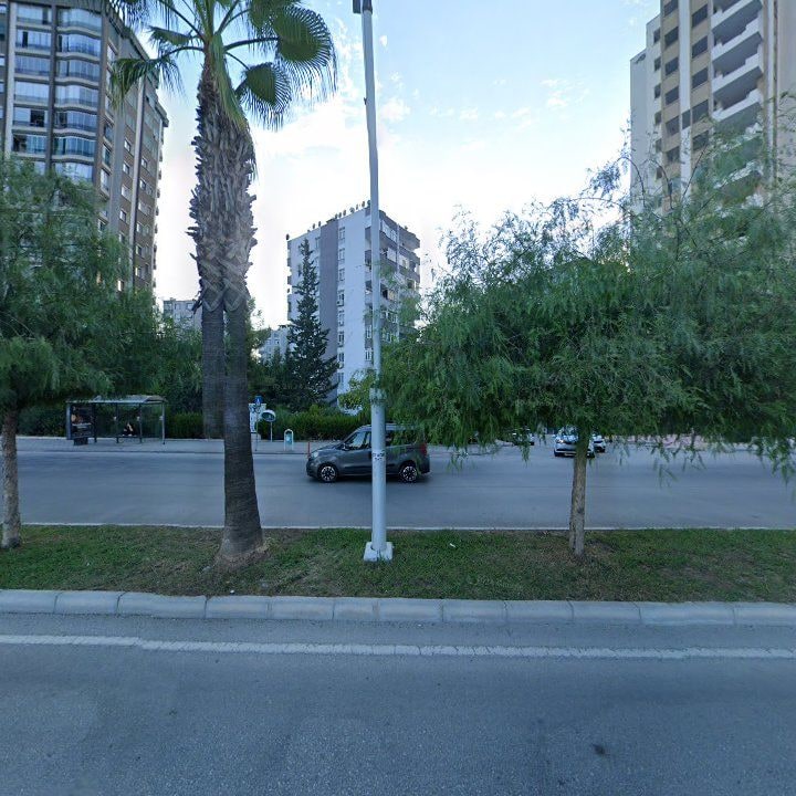 Fotoğraf 10