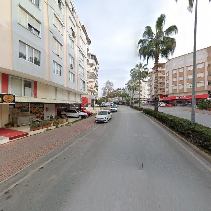 Fotoğraf 8