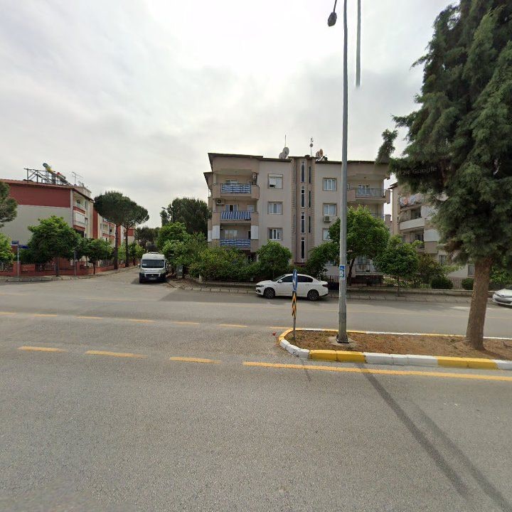 Fotoğraf 12